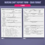 Essential Nursing Forms bundle - Image 3
