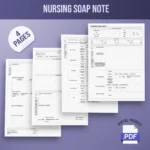 Nursing Soap Note